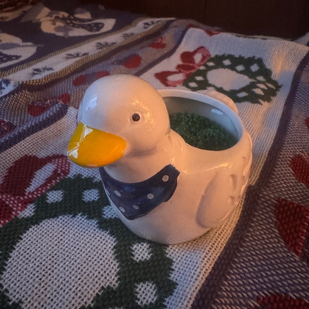 Vintage Scrubby Duck/Planter NIB